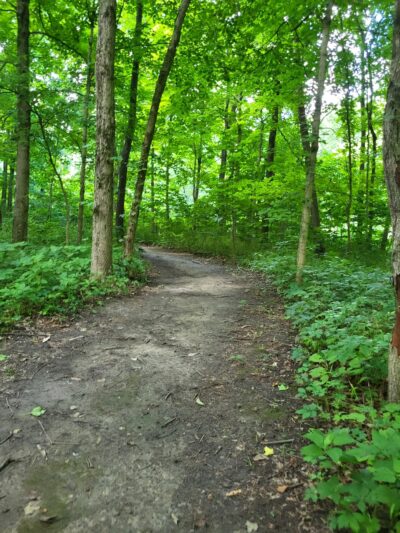 Hidden Acres - Homer, IL