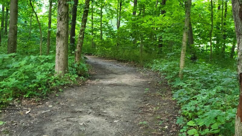Hidden Acres - Homer, IL