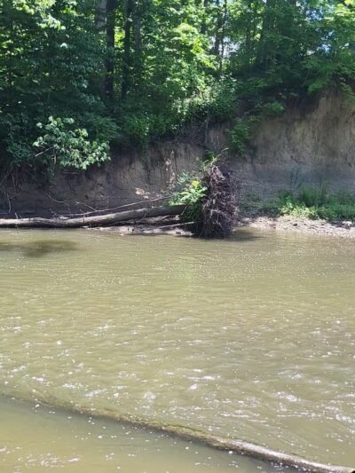 Hidden Acres - Homer, IL