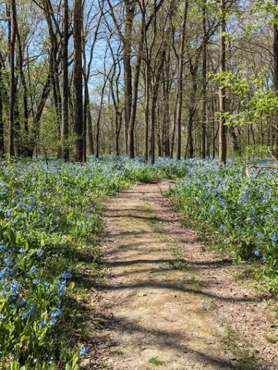 Hidden Acres - Homer, IL