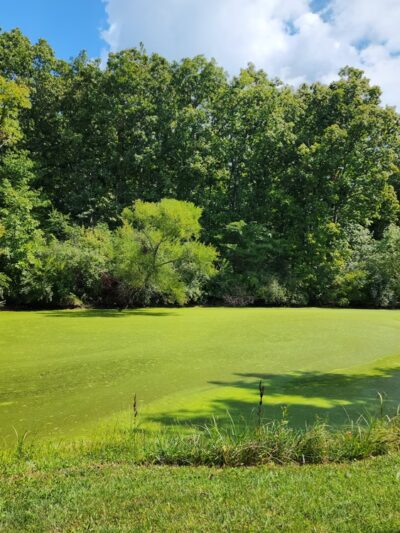 Hidden Acres - Homer, IL