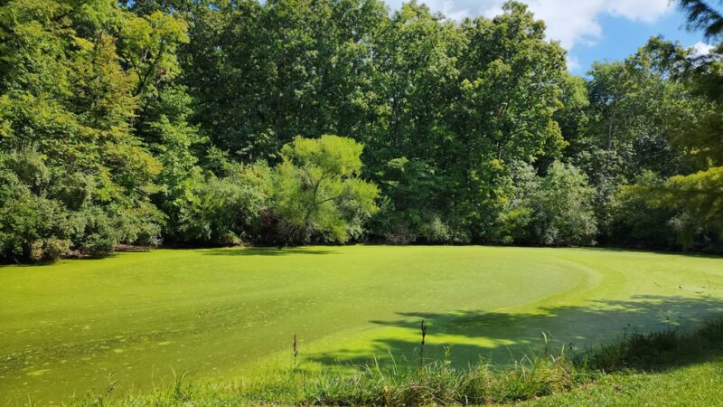 Hidden Acres - Homer, IL