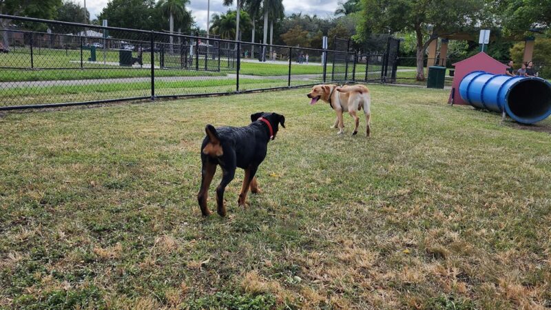Big Dogs Park - Homestead, FL