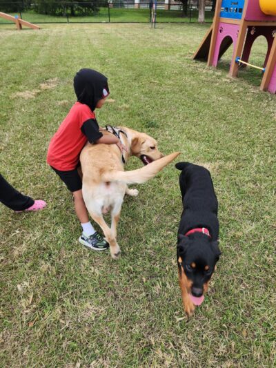 Big Dogs Park - Homestead, FL