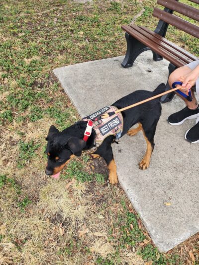 Big Dogs Park - Homestead, FL