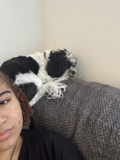 Happy paws petcare by Isa - Homestead, FL