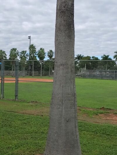 Harris Field Park - Homestead, FL