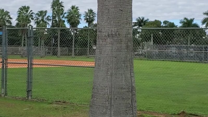 Harris Field Park - Homestead, FL