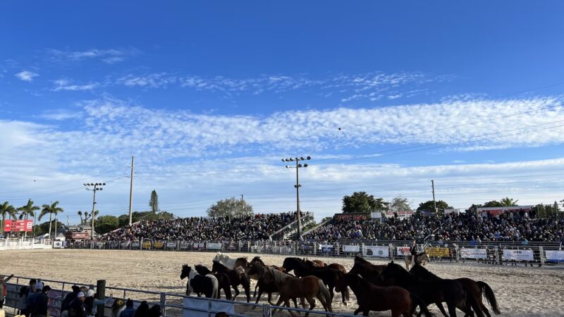 Harris Field Park - Homestead, FL