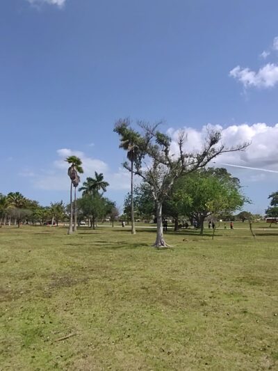 Homestead Air Reserve Park - Homestead, FL