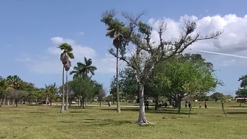 Homestead Air Reserve Park - Homestead, FL