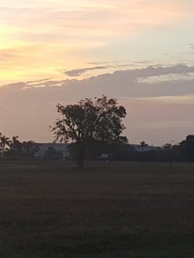 Homestead Air Reserve Park - Homestead, FL