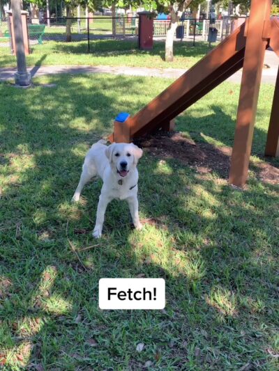 James Archer Smith Park - Homestead, FL