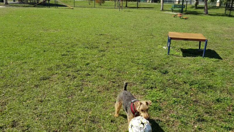 Mayor Roscoe Warren Municipal Park - Homestead, FL