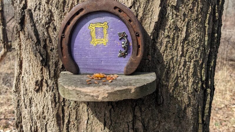 Birdsong Fairy Trail - Honeoye Falls, NY