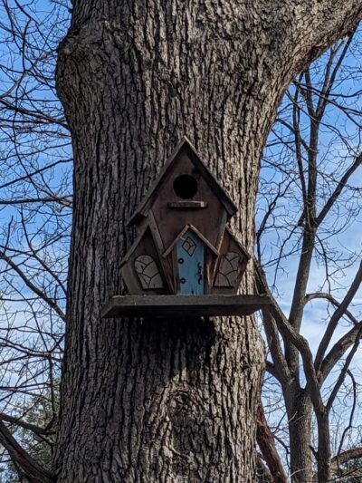 Birdsong Fairy Trail - Honeoye Falls, NY