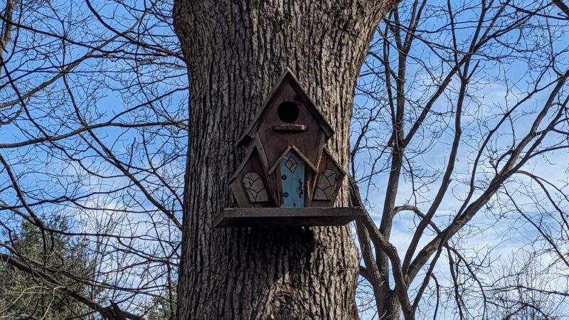 Birdsong Fairy Trail - Honeoye Falls, NY
