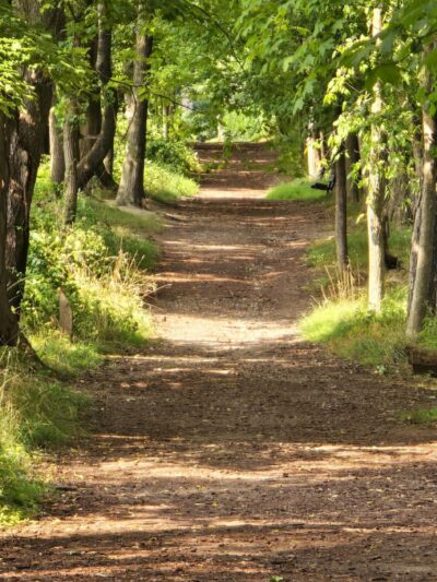 Birdsong Fairy Trail - Honeoye Falls, NY