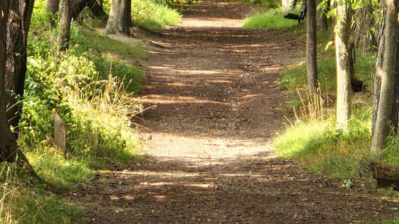 Birdsong Fairy Trail - Honeoye Falls, NY