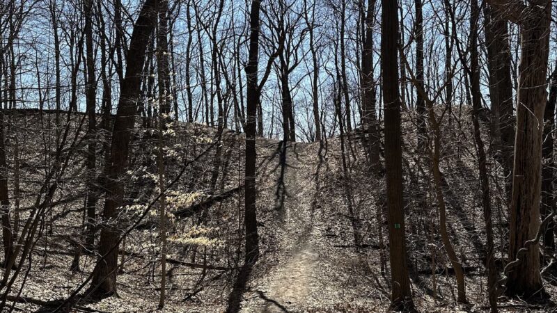 East Esker Trail Parking - Honeoye Falls, NY