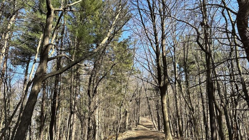 East Esker Trail Parking - Honeoye Falls, NY