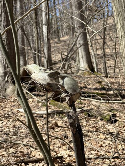 East Esker Trail Parking - Honeoye Falls, NY