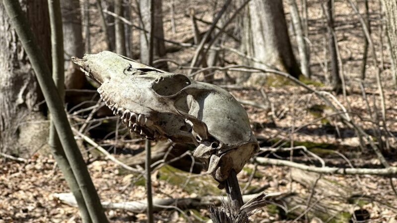 East Esker Trail Parking - Honeoye Falls, NY
