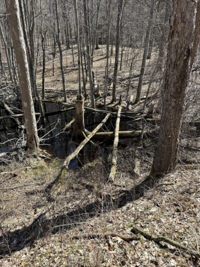 East Esker Trail Parking - Honeoye Falls, NY