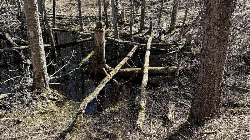 East Esker Trail Parking - Honeoye Falls, NY