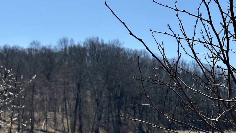 East Esker Trail Parking - Honeoye Falls, NY