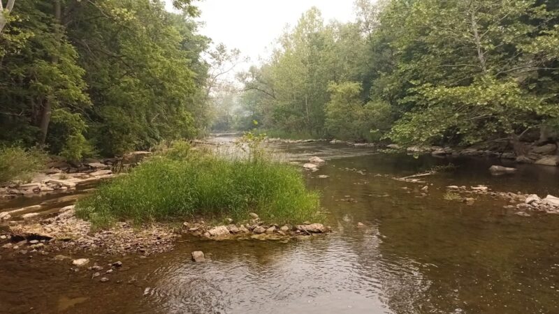 Harry Allen Park - Honeoye Falls, NY