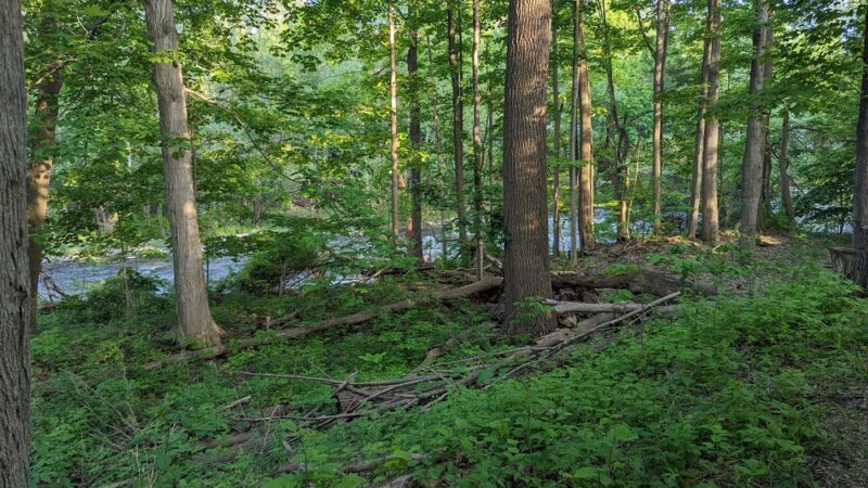 Harry Allen Park - Honeoye Falls, NY