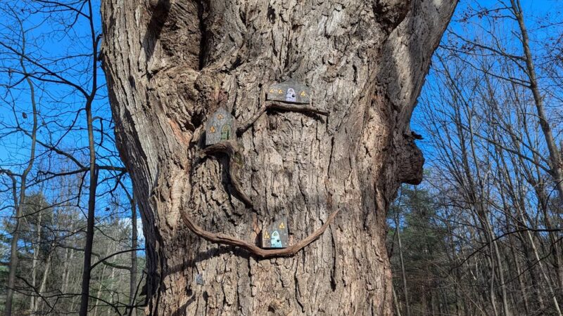 Mendon Fairy Trail - Honeoye Falls, NY