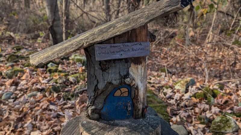 Mendon Fairy Trail - Honeoye Falls, NY