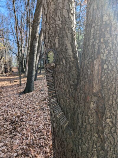 Mendon Fairy Trail - Honeoye Falls, NY