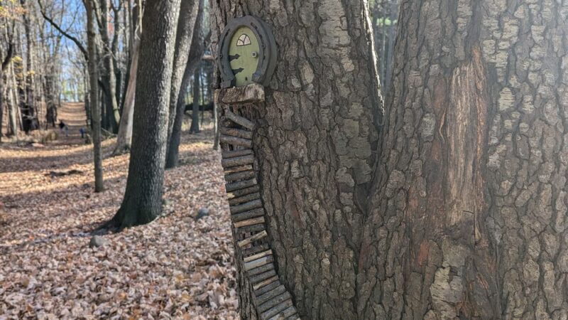 Mendon Fairy Trail - Honeoye Falls, NY