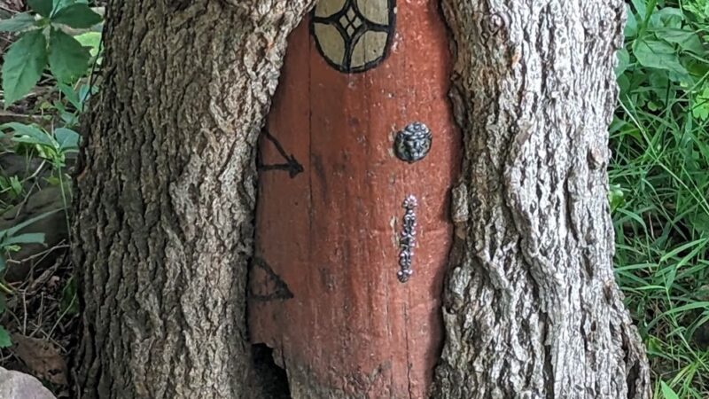 Mendon Fairy Trail - Honeoye Falls, NY