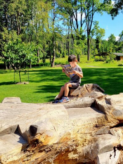 Mendon Fairy Trail - Honeoye Falls, NY