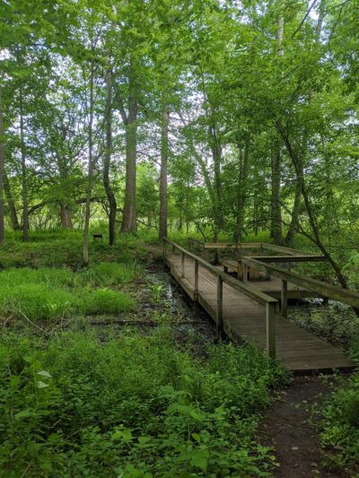 Mendon Ponds Park - Honeoye Falls, NY