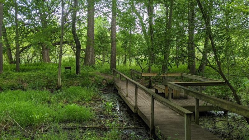 Mendon Ponds Park - Honeoye Falls, NY