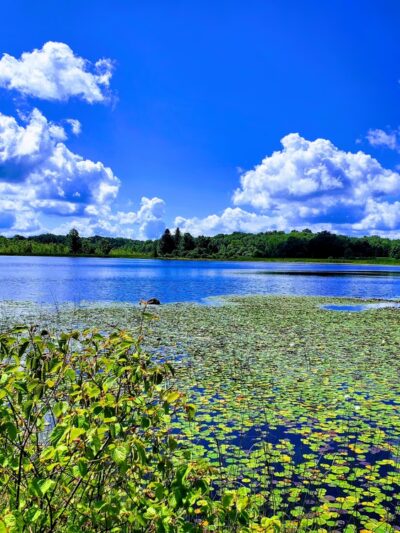 Mendon Ponds Park - Honeoye Falls, NY