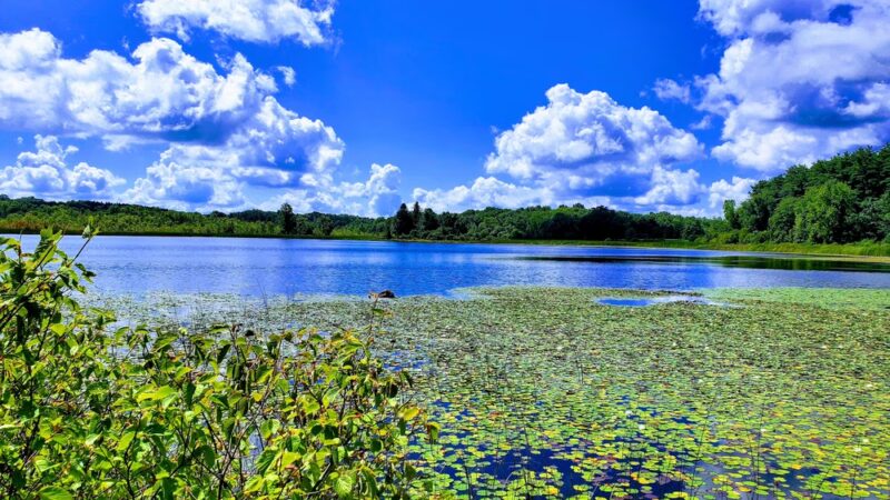Mendon Ponds Park - Honeoye Falls, NY