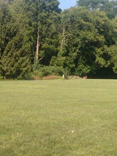 Monroe Street Village Park - Honeoye Falls, NY