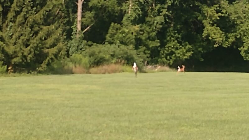 Monroe Street Village Park - Honeoye Falls, NY