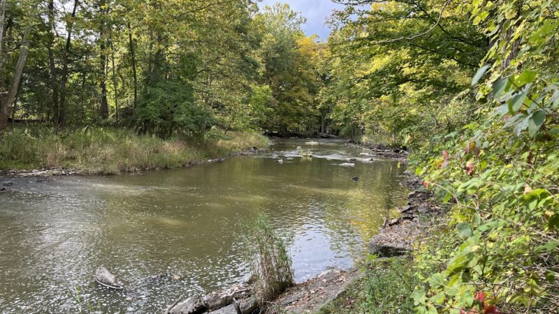 Rotary Park - Honeoye Falls, NY