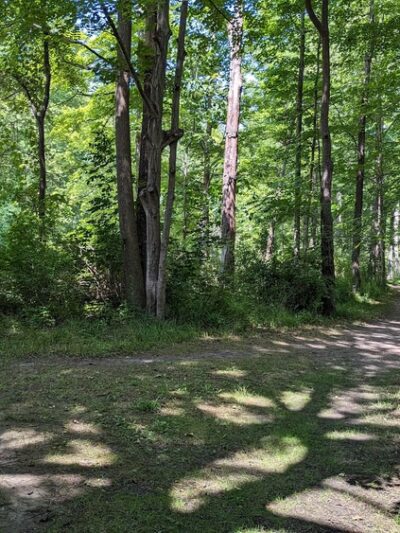 Rotary Park - Honeoye Falls, NY