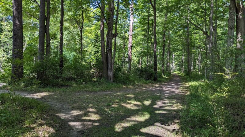 Rotary Park - Honeoye Falls, NY