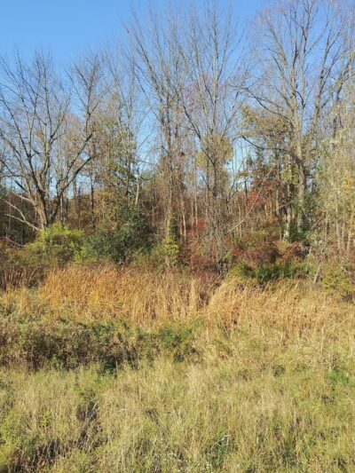 Semmel Road Park - Honeoye Falls, NY