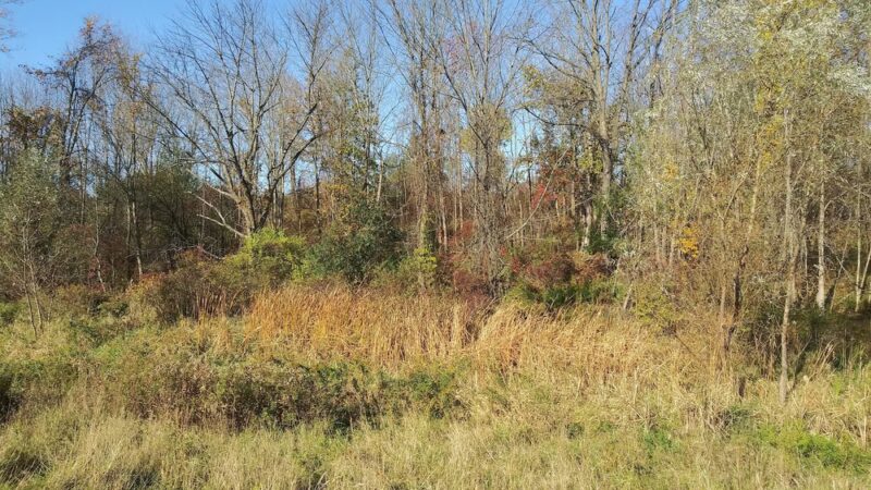 Semmel Road Park - Honeoye Falls, NY