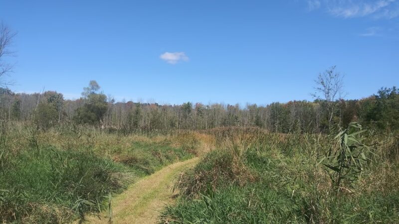 Semmel Road Park - Honeoye Falls, NY